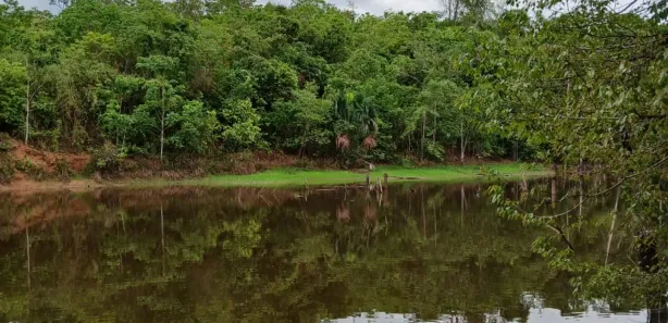 Fazenda/Sítio com 2 Quartos à venda, 13m² no , Aparecida do Rio Negro