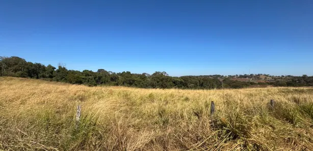 Fazenda/Sítio com 3 Quartos à venda, 532400m² no , Goianápolis