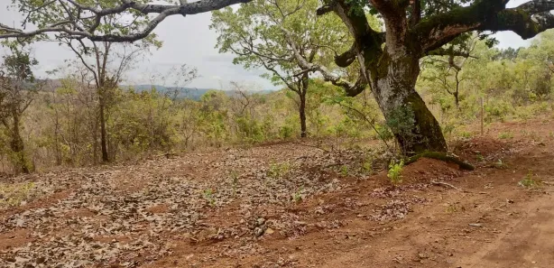 Lote/Terreno à venda, 20000m² no , Paraopeba