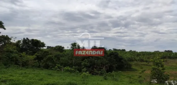 Fazenda/Sítio à venda, 2468000m² no , Jaraguá
