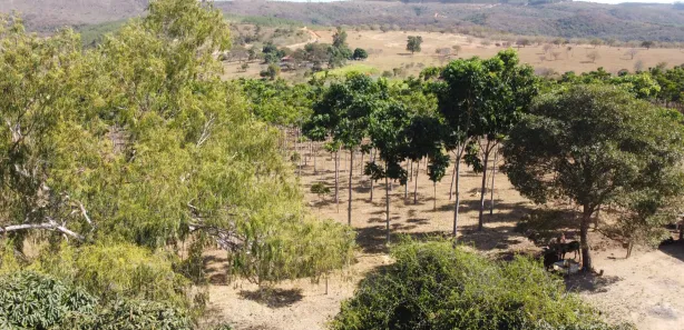 Lote/Terreno à venda, 20000m² no , Cordisburgo
