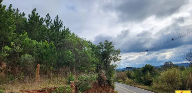 Lote/Terreno à venda, 546m² no , Nova Petrópolis