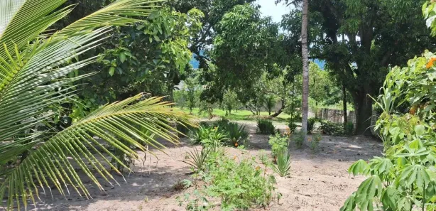 Fazenda/Sítio com 4 Quartos à venda, 5000m² no Hararas da Peniche, Tanguá