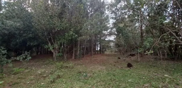 Lote/Terreno à venda, 3000m² no Krahe, Viamão