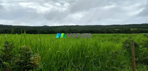Fazenda/Sítio com 1 Quarto à venda, 620m² no , Morro da Garça