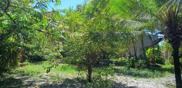 Lote/Terreno à venda, 800m² no , Vera Cruz