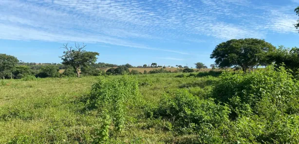Fazenda/Sítio à venda, 134500m² no Setor Central, Guapó