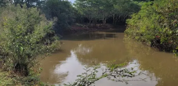 Fazenda/Sítio à venda, 1516m² no Área Rural, Goianira