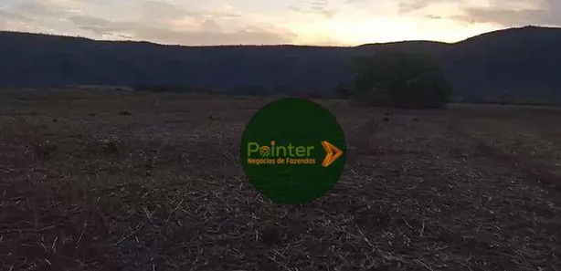Fazenda/Sítio à venda, 8700000m² no , Buritis