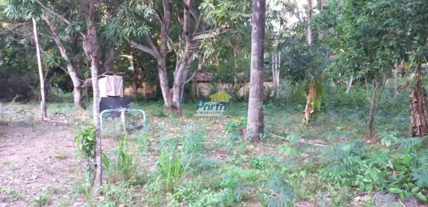 Fazenda/Sítio com 3 Quartos à venda, 120000m² no , José de Freitas