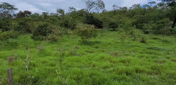 Fazenda/Sítio à venda, 5808000m² no , Padre Bernardo
