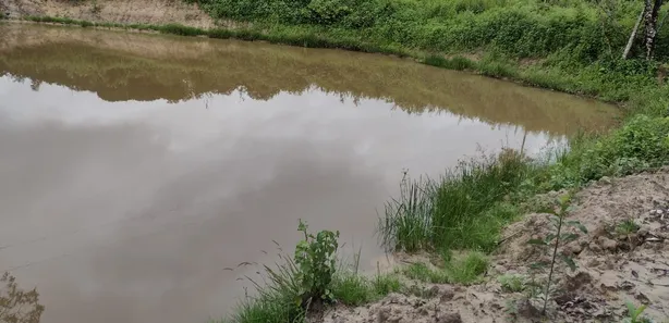 Lote/Terreno à venda, 20000m² no , Fortuna de Minas