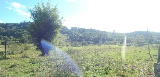 Lote/Terreno à venda, 270000m² no Centro, Lindolfo Collor