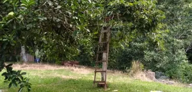 Fazenda/Sítio com 2 Quartos à venda, 5000m² no , Caraá