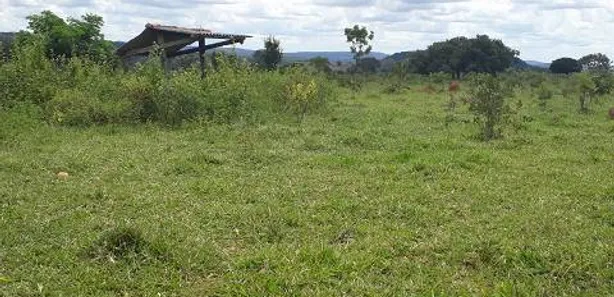 Lote/Terreno à venda, 20000m² no , Araçaí