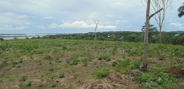 Lote/Terreno à venda, 230000m² no Puraquequara, Manaus