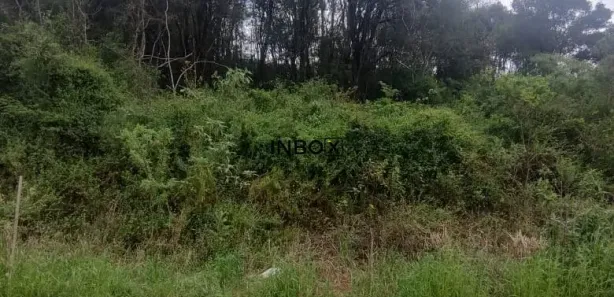 Lote/Terreno à venda, 150m² no Caminho da Eulália, Bento Gonçalves