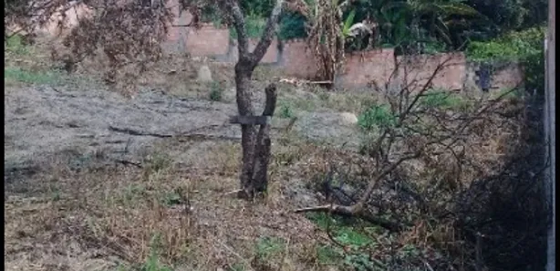 Lote/Terreno à venda, 360m² no Citrolândia, Betim