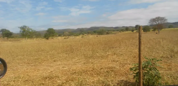 Fazenda/Sítio com 6 Quartos à venda, 14000000m² no Centro, Buenópolis