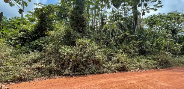 Lote/Terreno à venda, 4000m² no Centro, Presidente Figueiredo