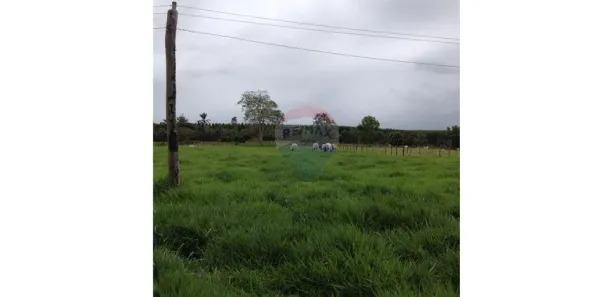 Fazenda/Sítio com 1 Quarto à venda, 138m² no Centro, Mucuri