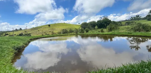 Fazenda/Sítio com 2 Quartos à venda, 5000m² no Pomar Do Carmo, Biritiba Mirim