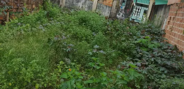 Lote/Terreno à venda, 120m² no Praça 14 de Janeiro, Manaus