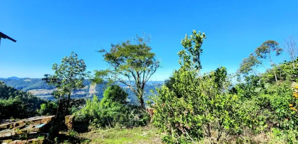 Lote/Terreno à venda, 355m² no Vila Olinda, Nova Petrópolis
