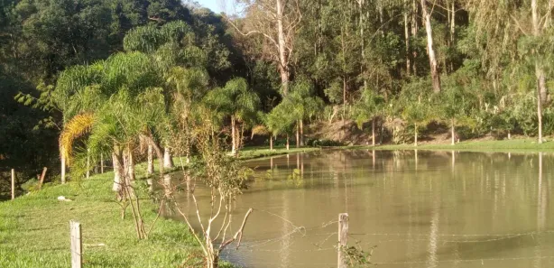 Fazenda/Sítio com 3 Quartos à venda, 160m² no Área Rural de Farroupilha, Farroupilha