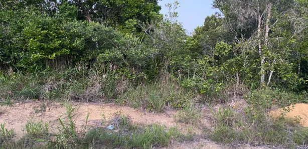 Lote/Terreno à venda, 500m² no , Porto Seguro