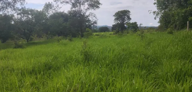 Fazenda/Sítio à venda, 580800m² no Centro, Jaraguá
