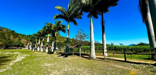 Fazenda/Sítio com 5 Quartos à venda, 280m² no Rio Seco (Bacaxá), Saquarema