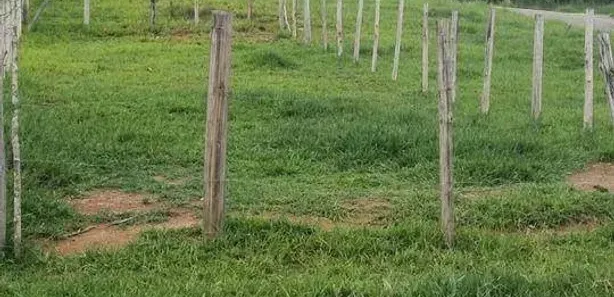Lote/Terreno à venda, 175m² no Residencial Novo Horizonte, Mogi das Cruzes