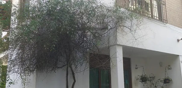 Casa com 3 Quartos para alugar, 610m² no Jardim Apipema, Salvador