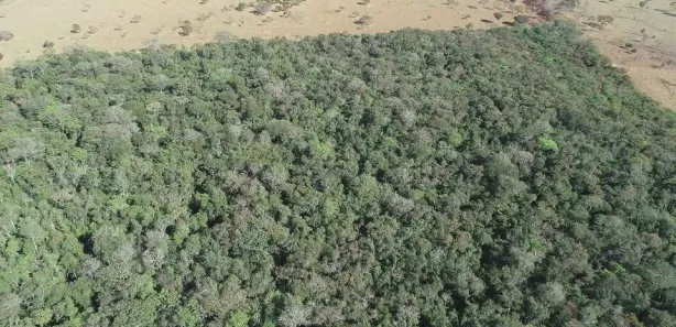 Fazenda/Sítio à venda, 43562m² no , Terezópolis de Goiás