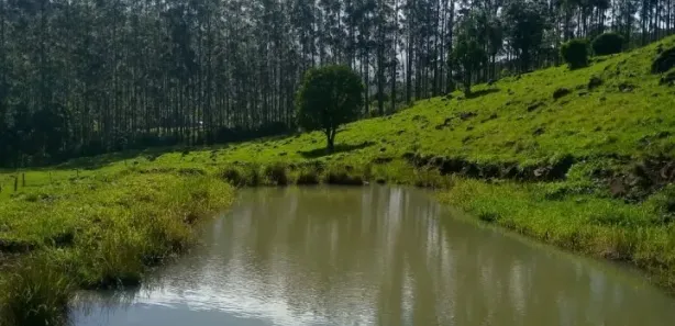Fazenda/Sítio à venda, 90000m² no , Caraá