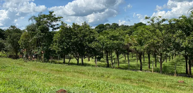 Fazenda/Sítio com 2 Quartos à venda, 96800m² no , Bonfinópolis