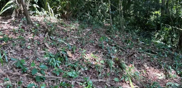 Lote/Terreno à venda, 1800m² no Balneario Praia do Perequê, Guarujá