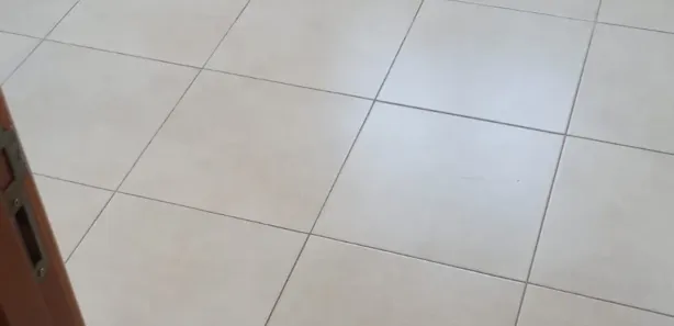 Apartamento com 2 Quartos à venda, 60m² no Vila Rosa, Goiânia