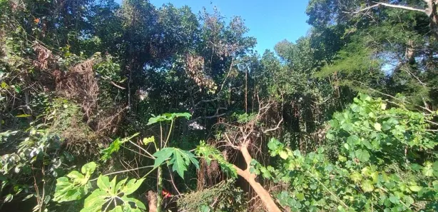 Lote/Terreno para venda ou aluguel, 60000m² no Vila Valqueire, Rio de Janeiro