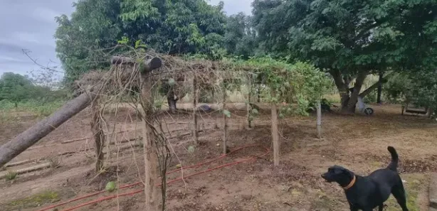 Fazenda/Sítio com 5 Quartos à venda, 293m² no , Iguaba Grande