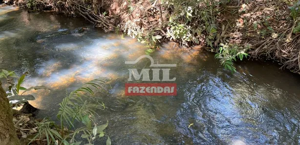Fazenda/Sítio à venda, 500m² no , Goianápolis