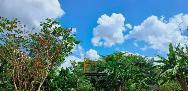 Fazenda/Sítio com 3 Quartos à venda, 4000m² no , Leopoldo de Bulhões