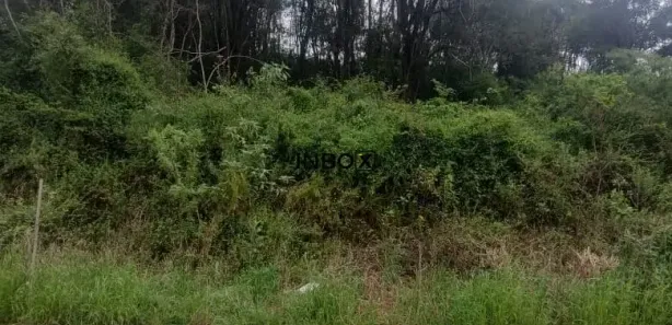 Lote/Terreno à venda, 150m² no Caminho da Eulália, Bento Gonçalves