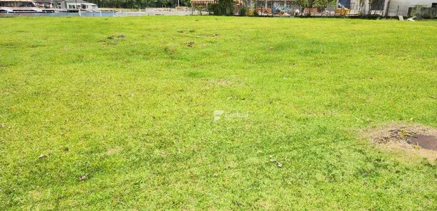 Lote/Terreno à venda, 1950m² no Balneario Praia do Perequê, Guarujá