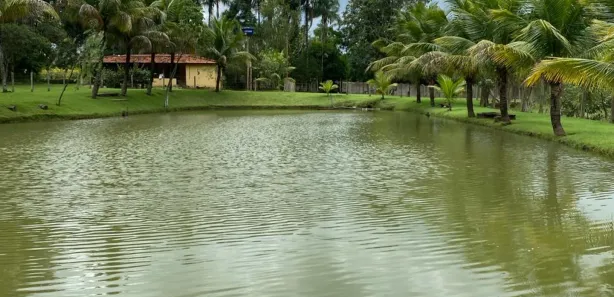 Fazenda/Sítio com 3 Quartos à venda, 48400m² no Área Rural, Goianira