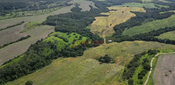 Fazenda/Sítio com 3 Quartos à venda, 4977200m² no Setor Central, Silvânia
