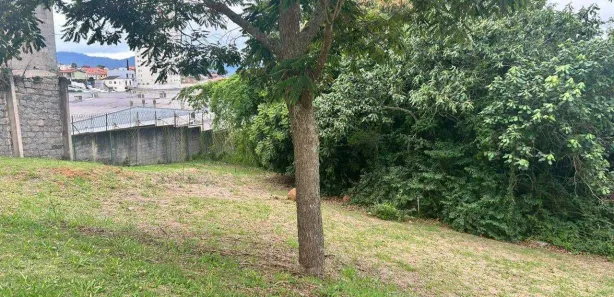 Lote/Terreno à venda, 300m² no Vila Oliveira, Mogi das Cruzes