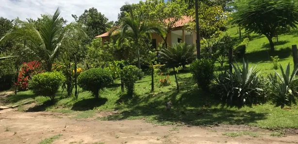 Fazenda/Sítio à venda, 14700m² no Centro, Tanguá