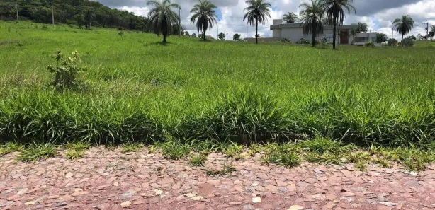 Lote/Terreno à venda, 1001m² no Centro, Inhaúma